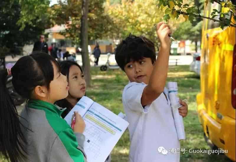 户外科学课——Amazing Trees